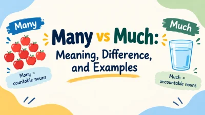 Many vs Much